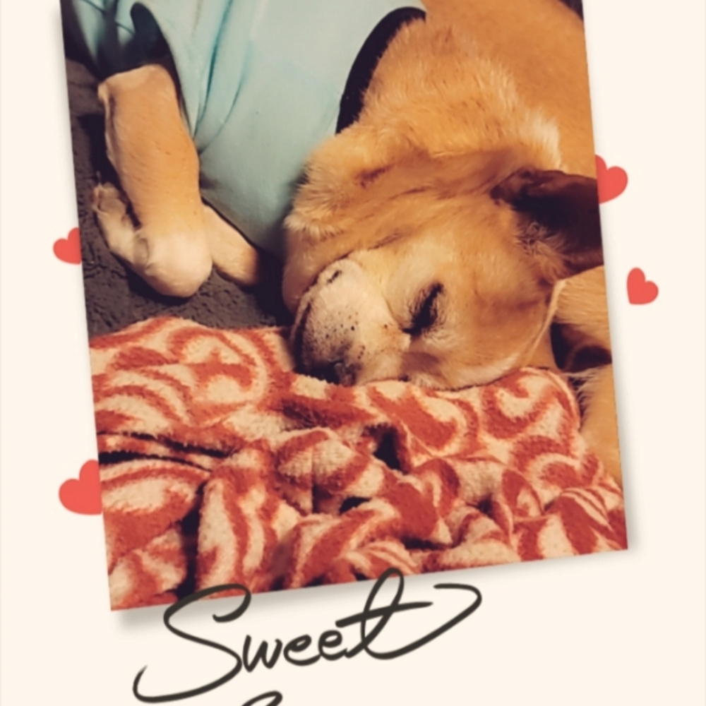 Meet your Posher, Chantal